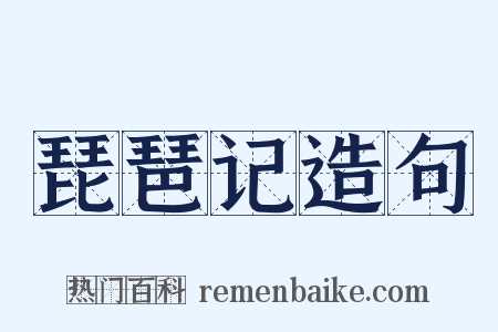 琵琶记造句是什么意思的图片